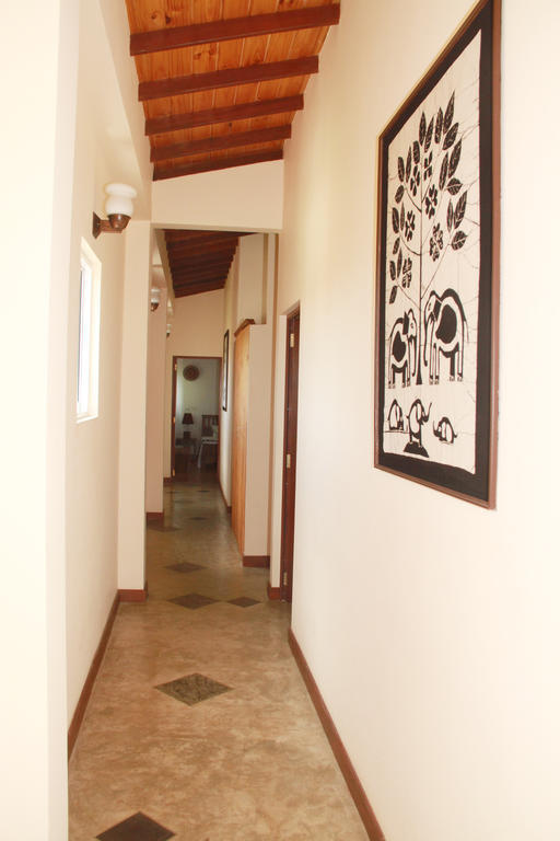 Blue Elephant Tourist Guesthouse Kudapaduwa Экстерьер фото