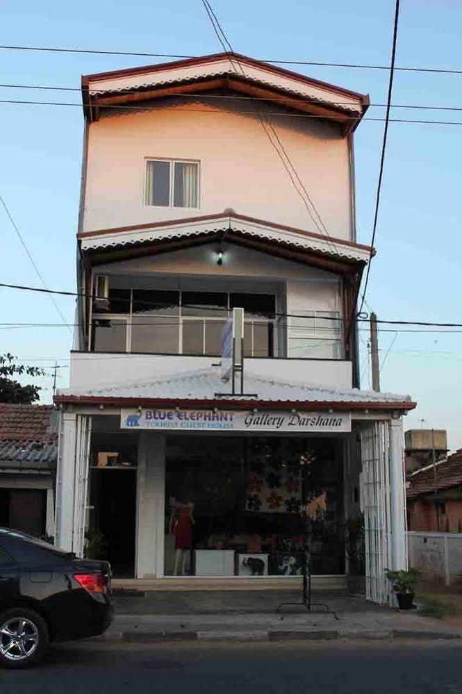 Blue Elephant Tourist Guesthouse Kudapaduwa Экстерьер фото